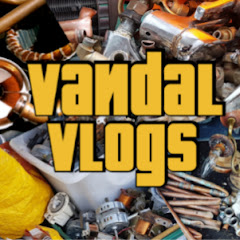 Vandal Vlogs net worth