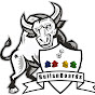 Bullsnboards