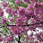 @user-qm5le3mv8l