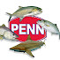 gvrKkkl9nDM-channel-avatar-Saltwater Fishing South Africa