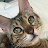 @user-pw3vp7vu8l