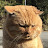 @user-qs4qu9tv8d