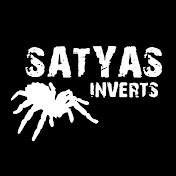 SATYAS INVERTS