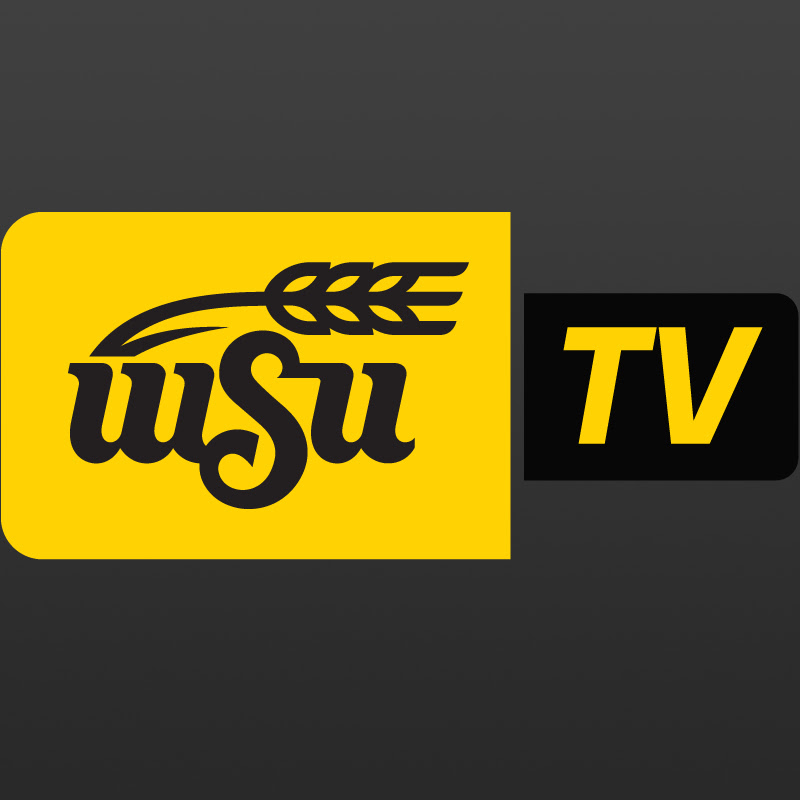 WSUTV logo