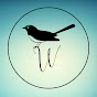 My Willy Wagtail logo