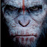 _c41g5RrdYY-channel-avatar-WolfiSite