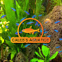 Caleb's Aquatics logo