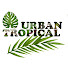 Ctcw0Is_Jr4-channel-avatar-Urban Tropical