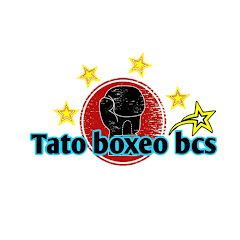 Tato boxeo bcs