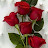 @اممروانمحمد-خ3س
