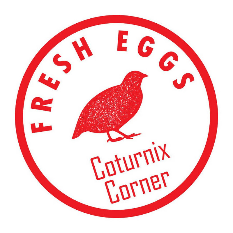 Coturnix Corner