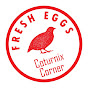 Coturnix Corner logo