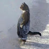 Автор
