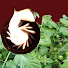 6c9PFyn2wRs-channel-avatar-Heath Putnam