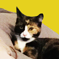 Hot_tub profile image