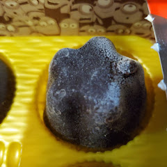 ピノ星の