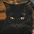 @MeAgain192 Avatar