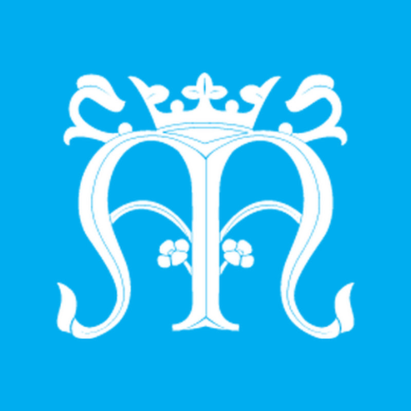 Parafia WNMP w Bielawie logo
