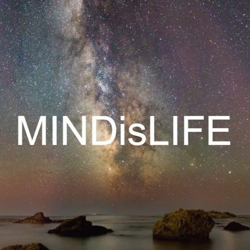MINDisLIFE icon