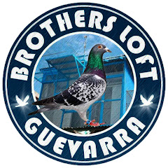 Brothersloft Guevarra channel logo