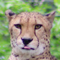 Tom_4815