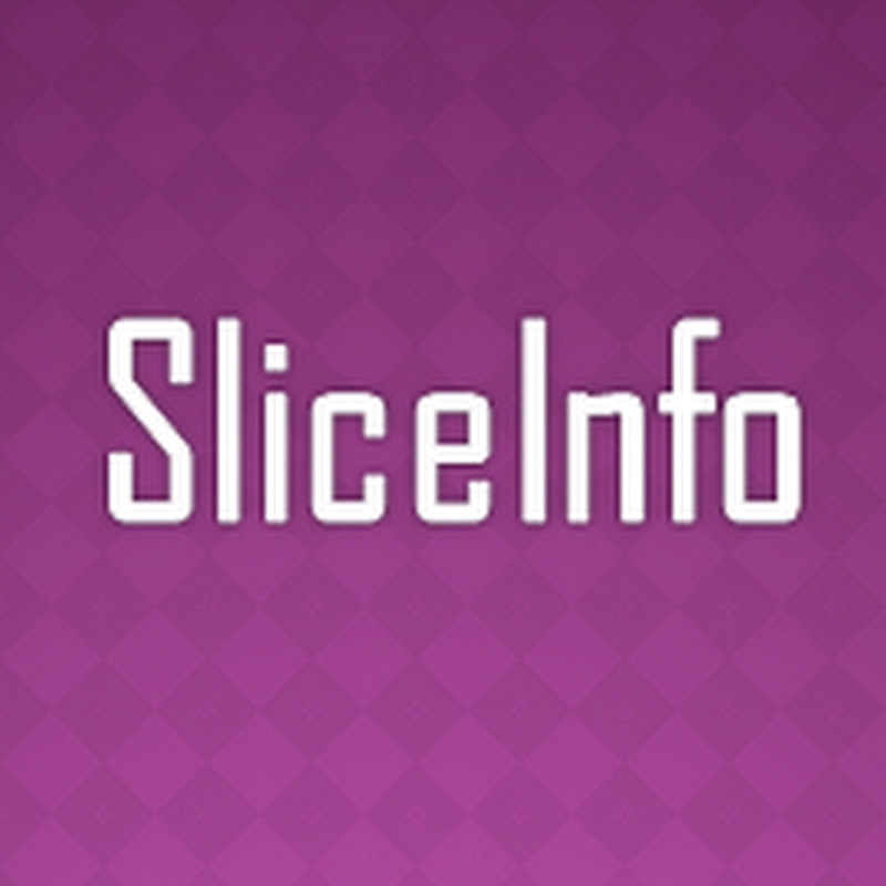 SliceInfo