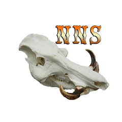 Thumbnail of related channel