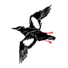 Nick Schade net worth