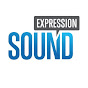 Sound Expression logo