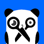 Astuces du Panda Net Worth