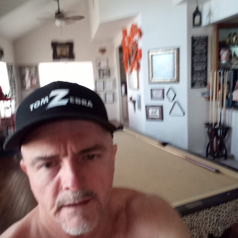 Tom Zebra icon