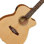 GitaraInUa