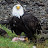 @lindacarrigan3089's avatar