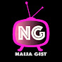 Naija Gist logo