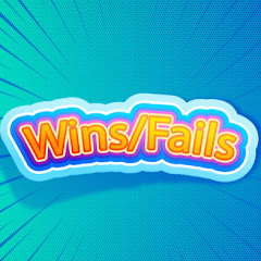 Wins/Fails Videos net worth