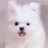 @user-qu5yx6tt1e