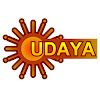 What could Udaya TV buy with $11.3 million?