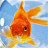 @snipernote Avatar