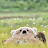 @belovedone3220 Avatar