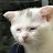 @user-zd8dw8sj6o