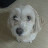 @user-ug7ok3cc7m