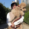 What could 천재견 사월이sawol buy with $748.4 thousand?
