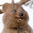 @user-gf6xt1vk9i