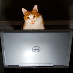 Thumbnail of related channel