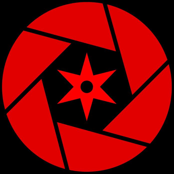 VIRTUAL JAPAN Net Worth & Earnings (2026)