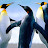 @oigioioivn Avatar