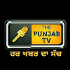 What could The Punjab TV buy with $993.9 thousand?
