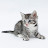 @ys-tz3fy