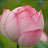 @user-gi9mi4fy6m