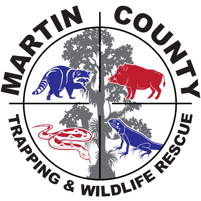 Python Cowboy Net Worth & Earnings (2026)